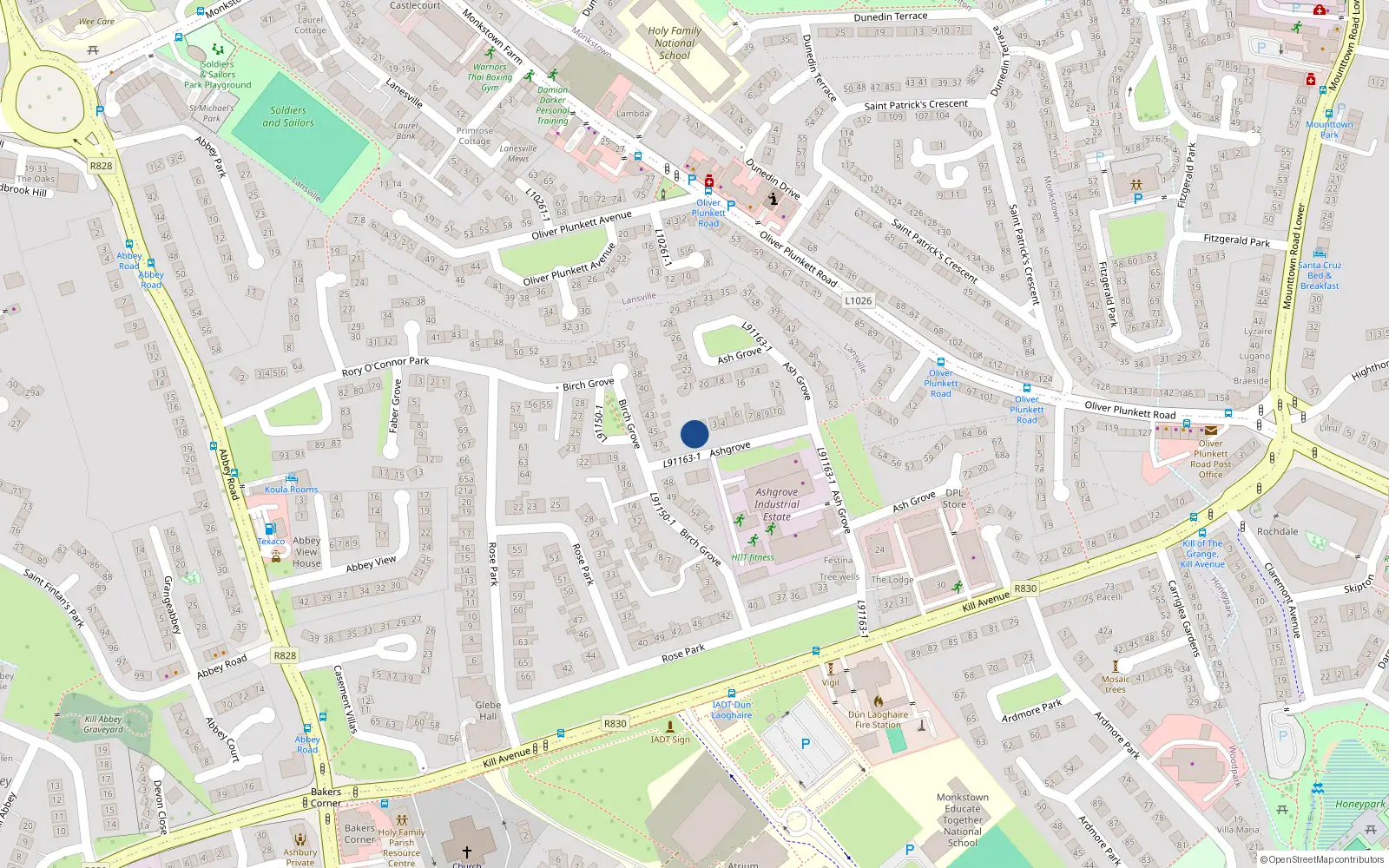 Overhead map showing the location of 1A Ashgrove, Dun Laoghaire