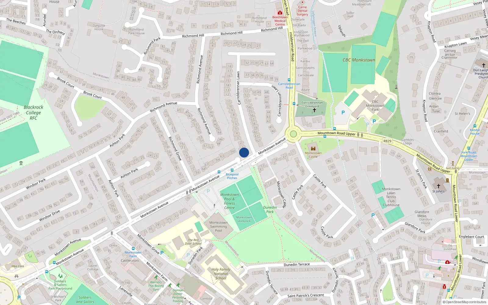 Overhead map showing the location of 1A Carrickbrennan Lawn, Blackrock
