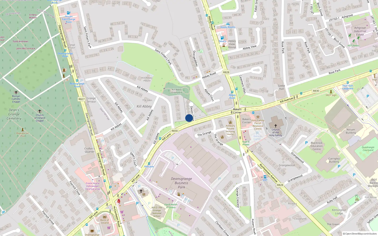 Overhead map showing the location of 1A Devon Close, Blackrock