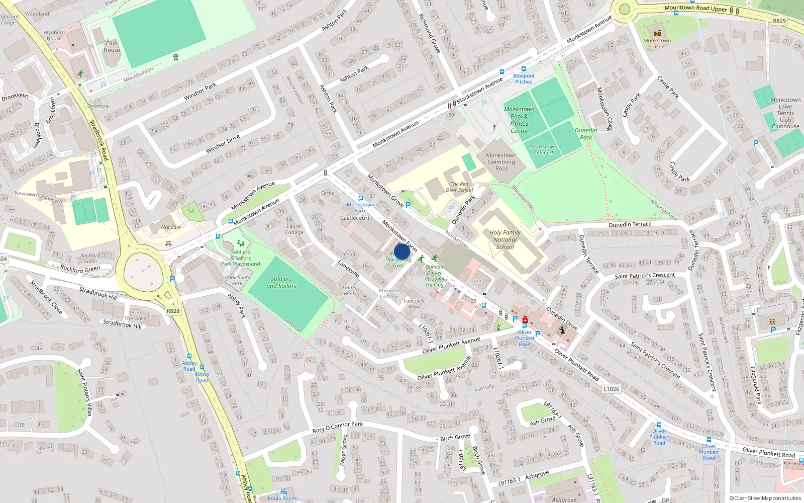 Overhead map showing the location of 1 Lanesville, Dunlaoghaire