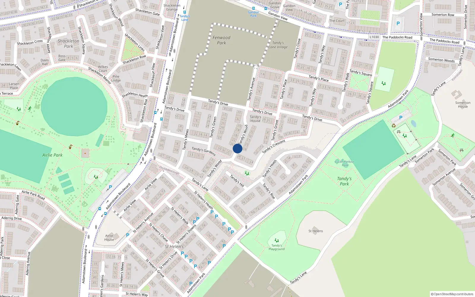 Overhead map showing the location of 1tandys Wood, Tandy's Wood, Doddsborough