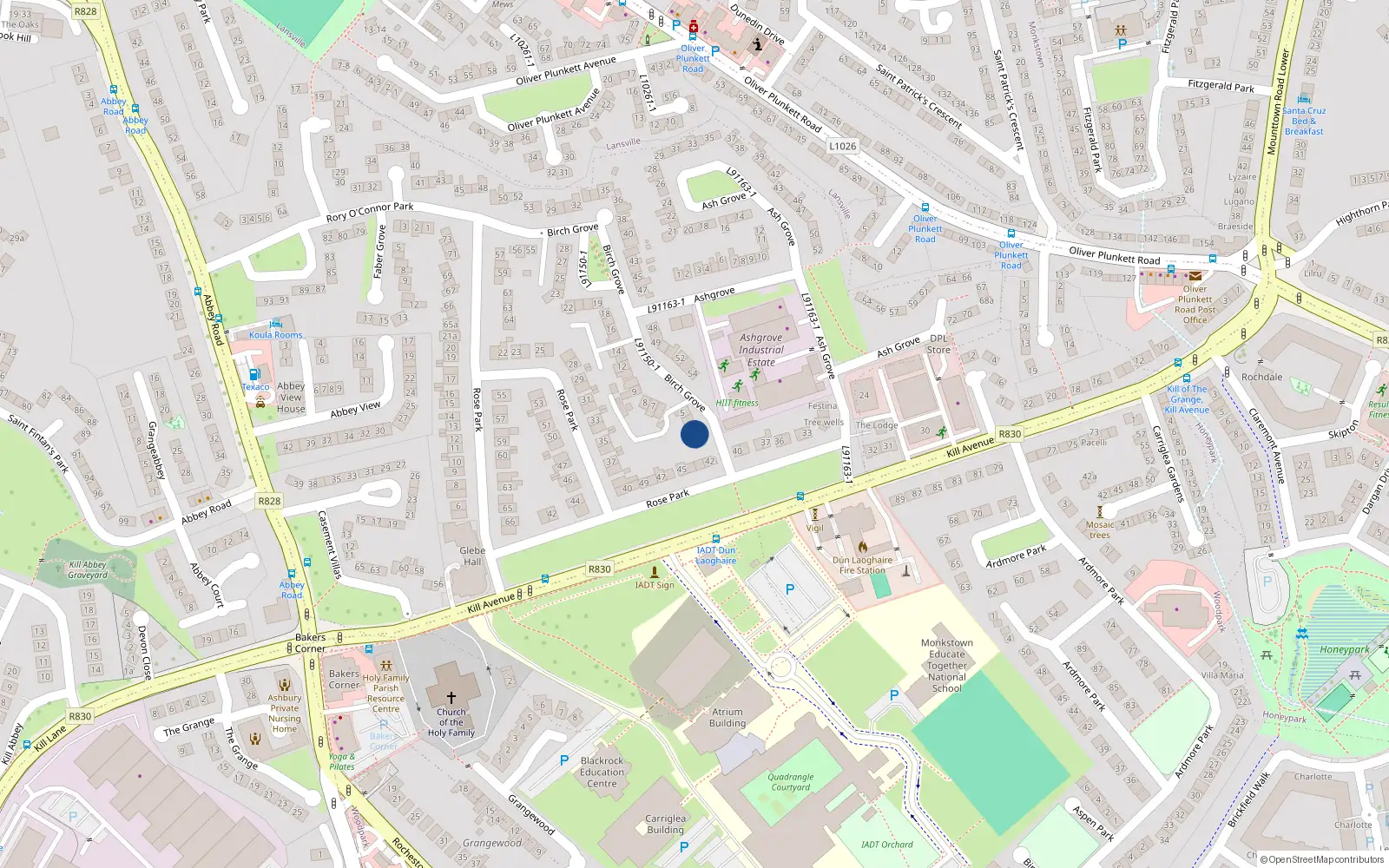 Overhead map showing the location of 2 Birch Grove, Dun Laoghaire