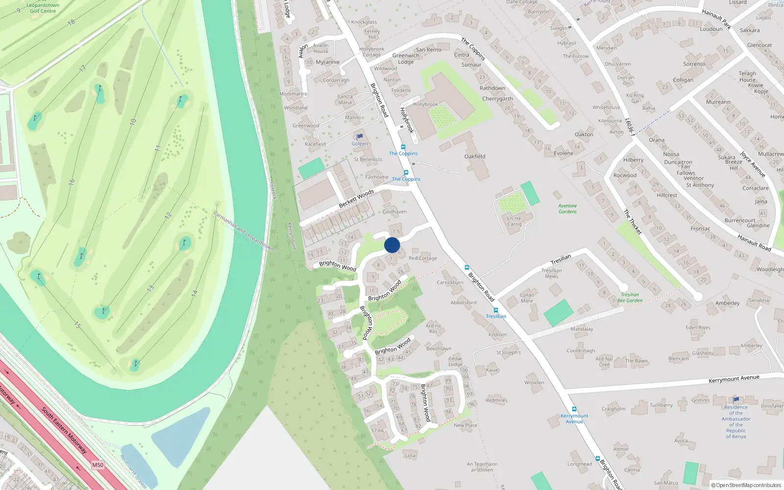 Overhead map showing the location of 2 Brighton Wood, Foxrock