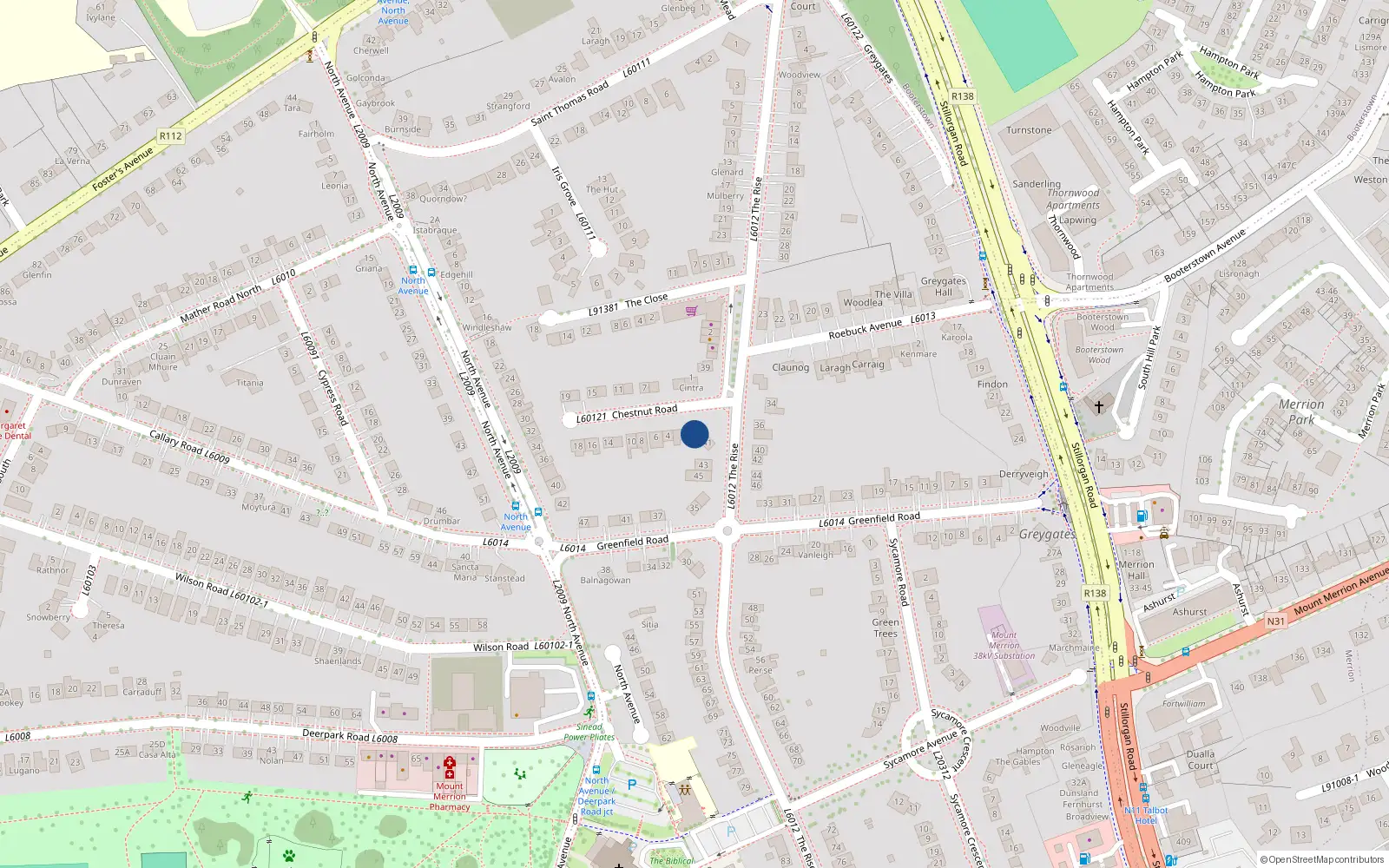 Overhead map showing the location of 2 Chestnut Road, Blackrock