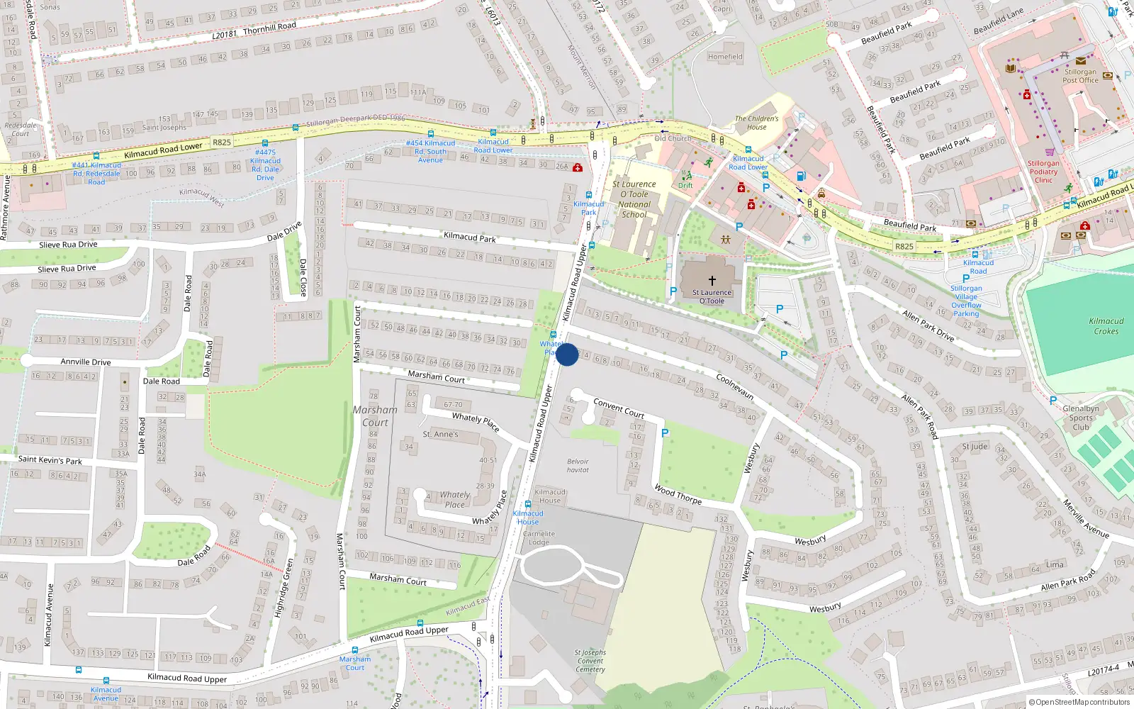 Overhead map showing the location of 2 Coolnevaun, Blackrock