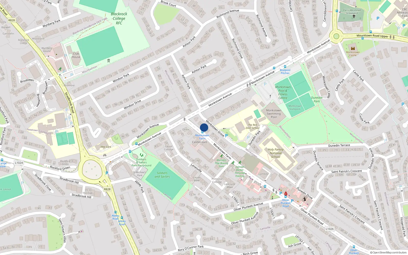 Overhead map showing the location of 2 Monkstown Grove, Monkstown