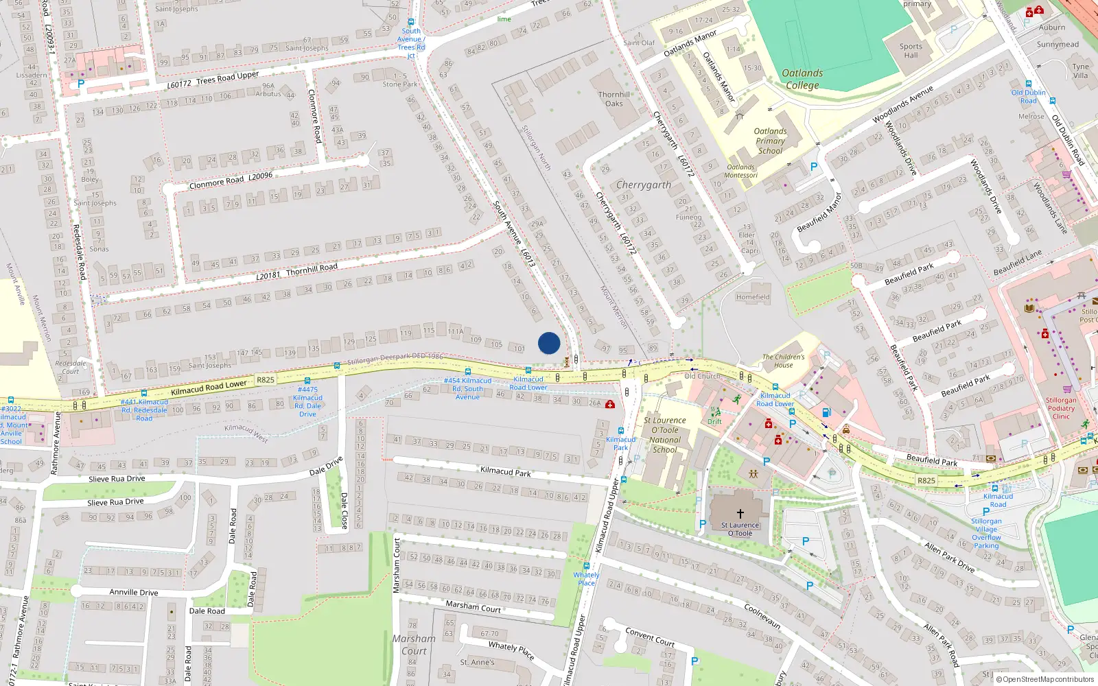 Overhead map showing the location of 2 South Avenue, Mount Merrion, Co Dublin