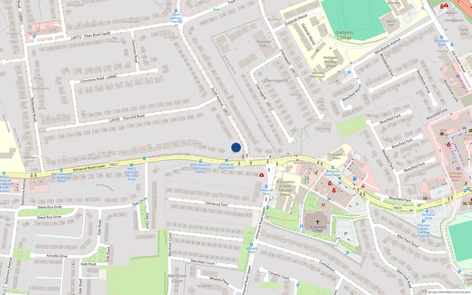Overhead map showing the location of 2 South Avenue, Blackrock