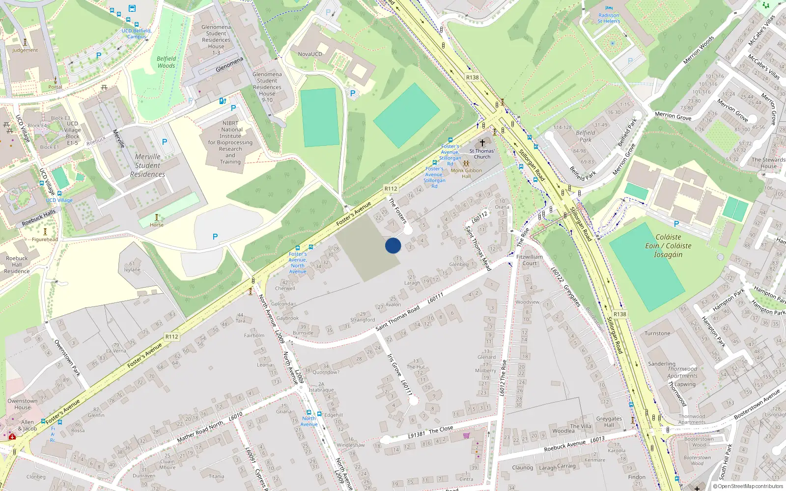 Overhead map showing the location of 2 The foster'S, Mount Merrion