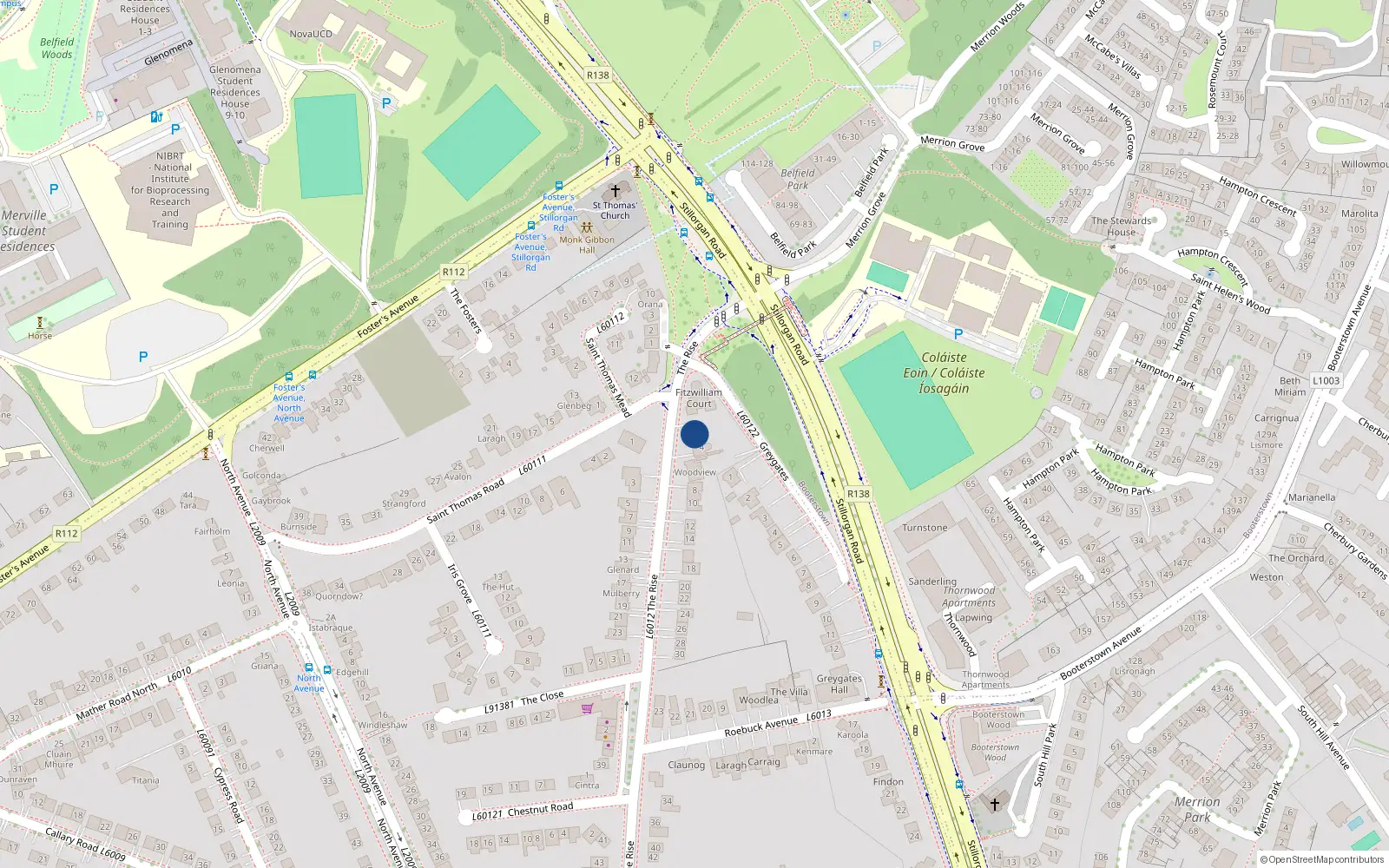 Overhead map showing the location of 2 the Rise, Mount Merrion, Blackrock