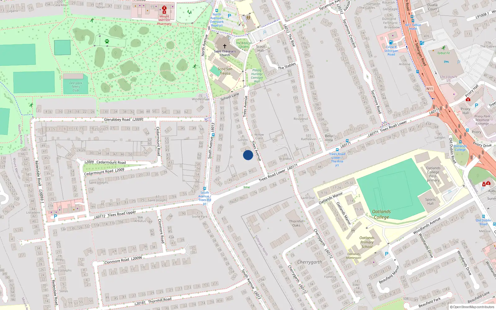 Overhead map showing the location of 2 Trees Avenue, Blackrock