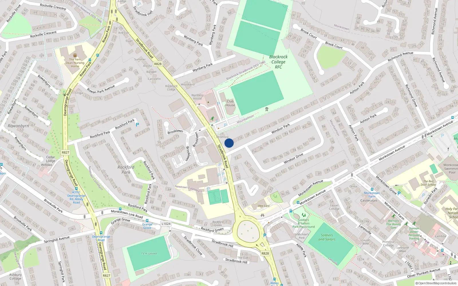 Overhead map showing the location of 2 Windsor Park, Monkstown