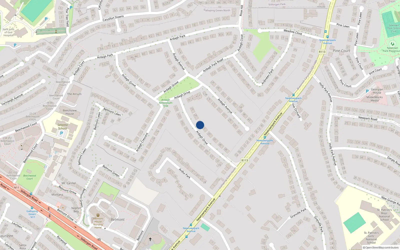 Overhead map showing the location of 20 Ardagh Drive, Blackrock, Dublin
