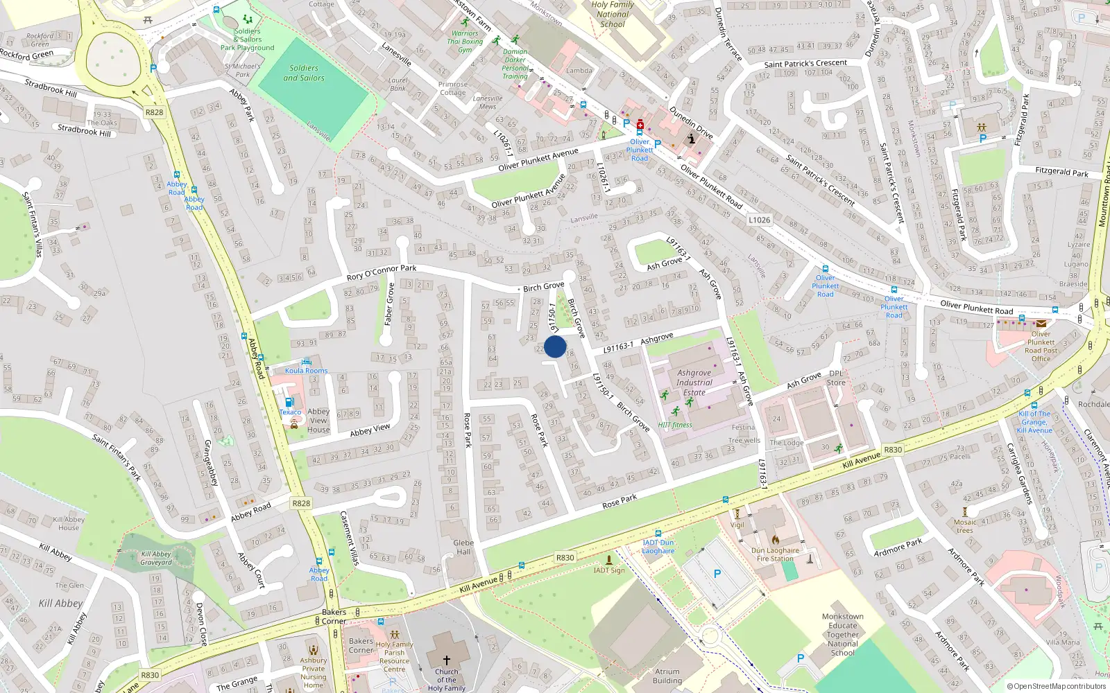 Overhead map showing the location of 20 Birch Grove, Dun Laoghaire