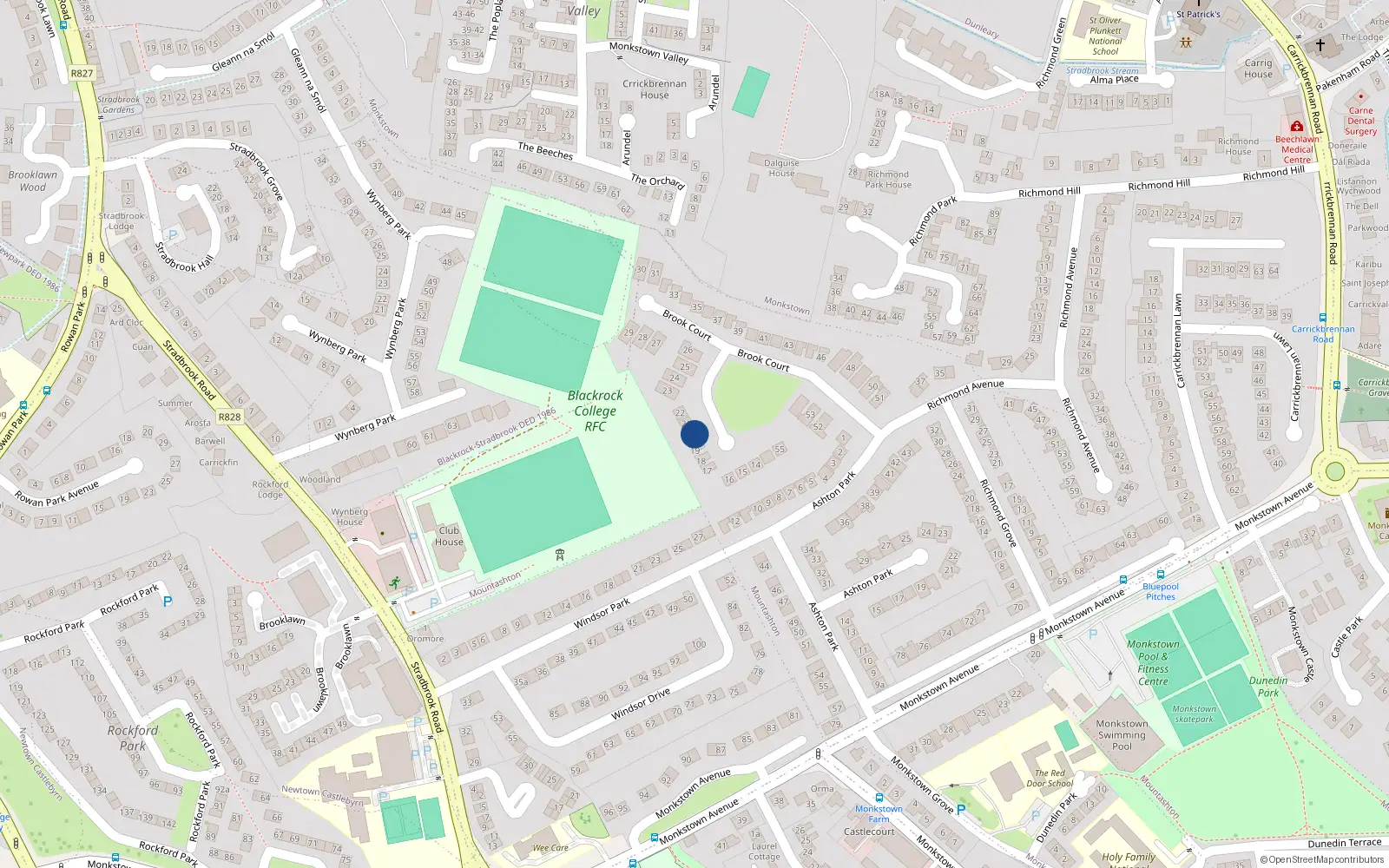 Overhead map showing the location of 20 Brook Court, Monkstown
