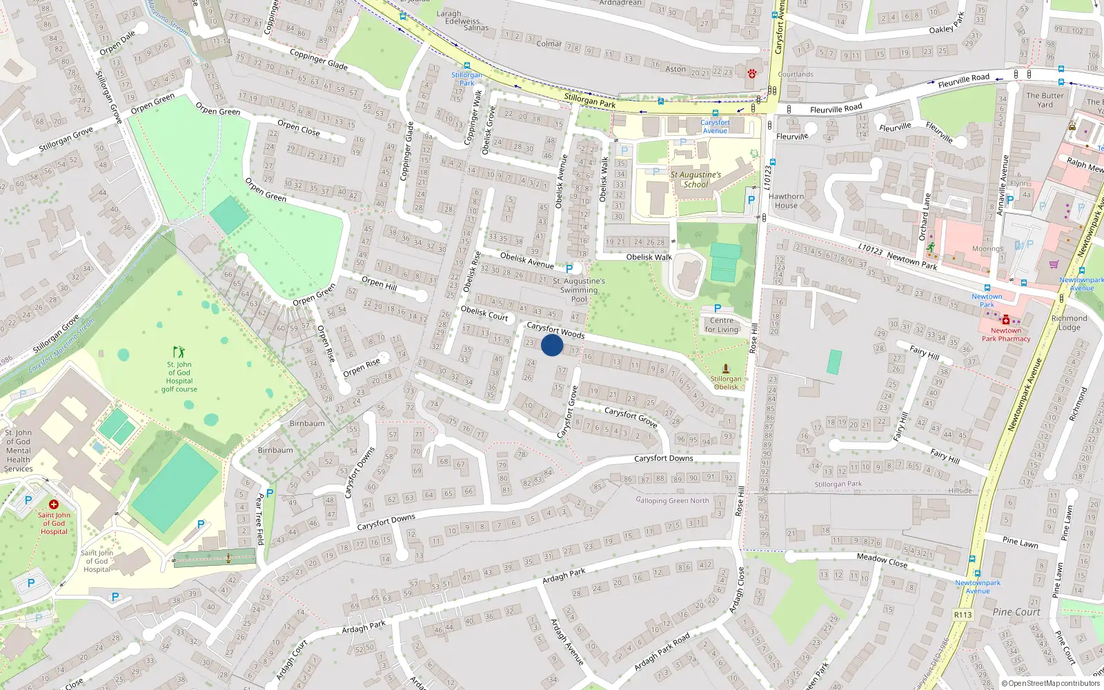 Overhead map showing the location of 20 Carysfort Woods, Blackrock