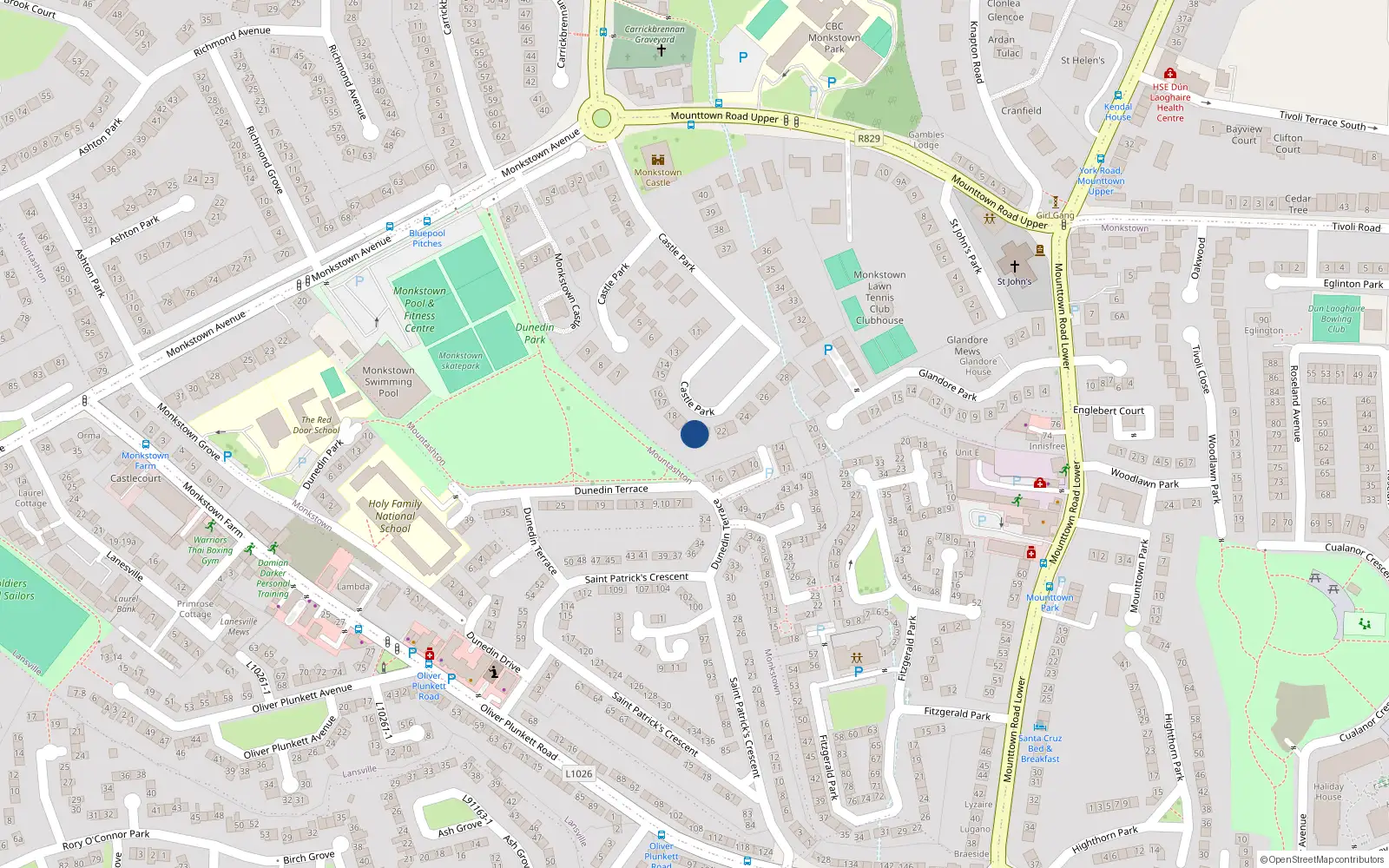 Overhead map showing the location of 20 Castle Park, Monkstown