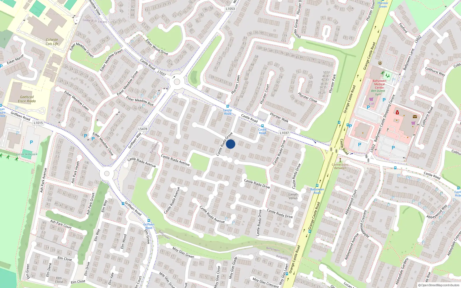 Overhead map showing the location of 20 Castle Riada Grove, Lucan