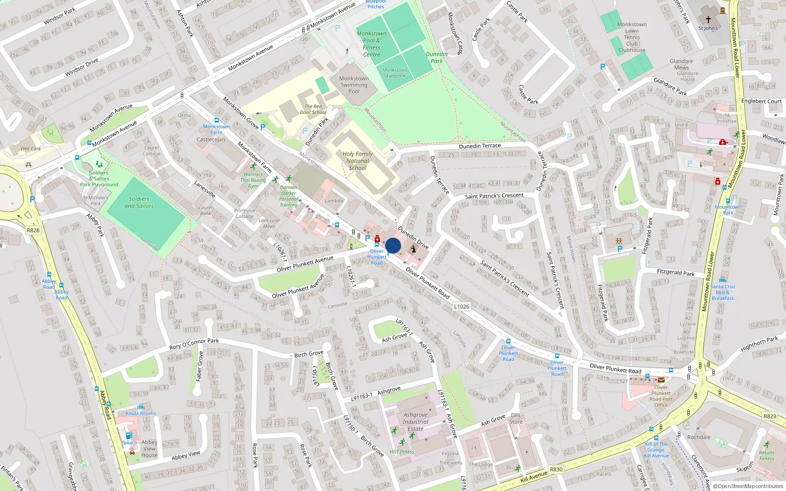 Overhead map showing the location of 20 Castlegate, Oliver Plunkett Street, Monkstown