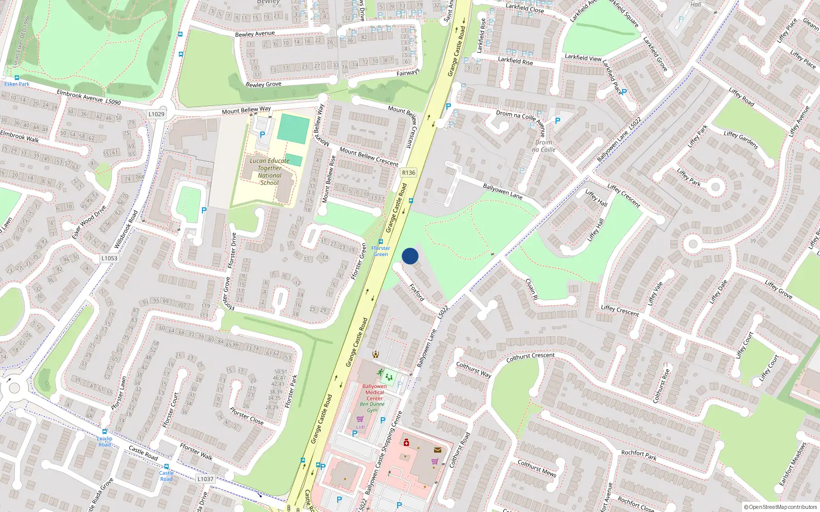 Overhead map showing the location of 20 Foxford, Ballyowen Lane, Lucan
