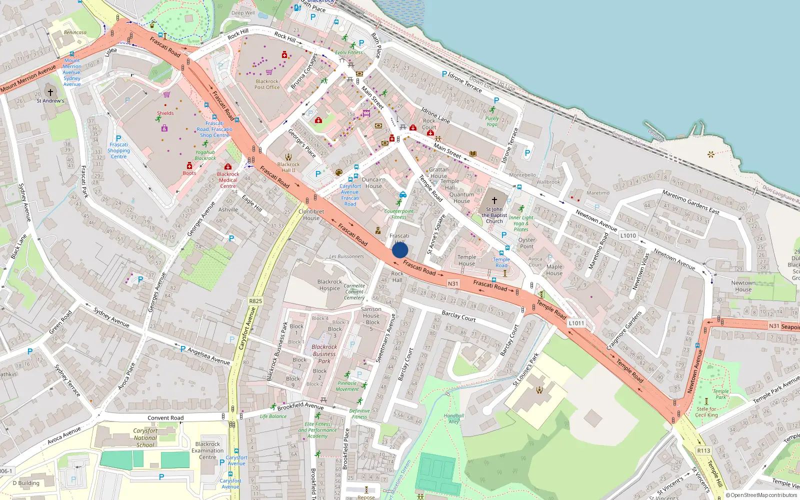 Overhead map showing the location of 20 Frascati Hall, Sweetmans Avenue, Blackrock