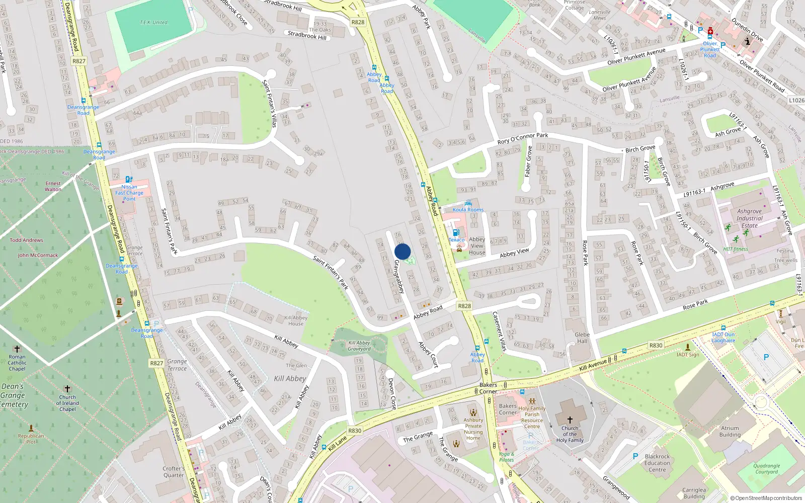 Overhead map showing the location of 20 Grangeabbey, Blackrock