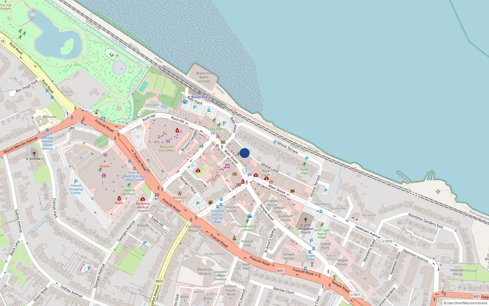 Overhead map showing the location of 20 Idrone Lane, Blackrock