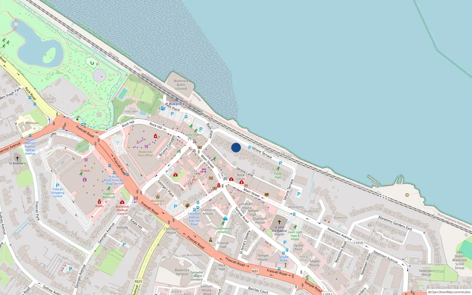 Overhead map showing the location of 20 Idrone Terrace, Blackrock