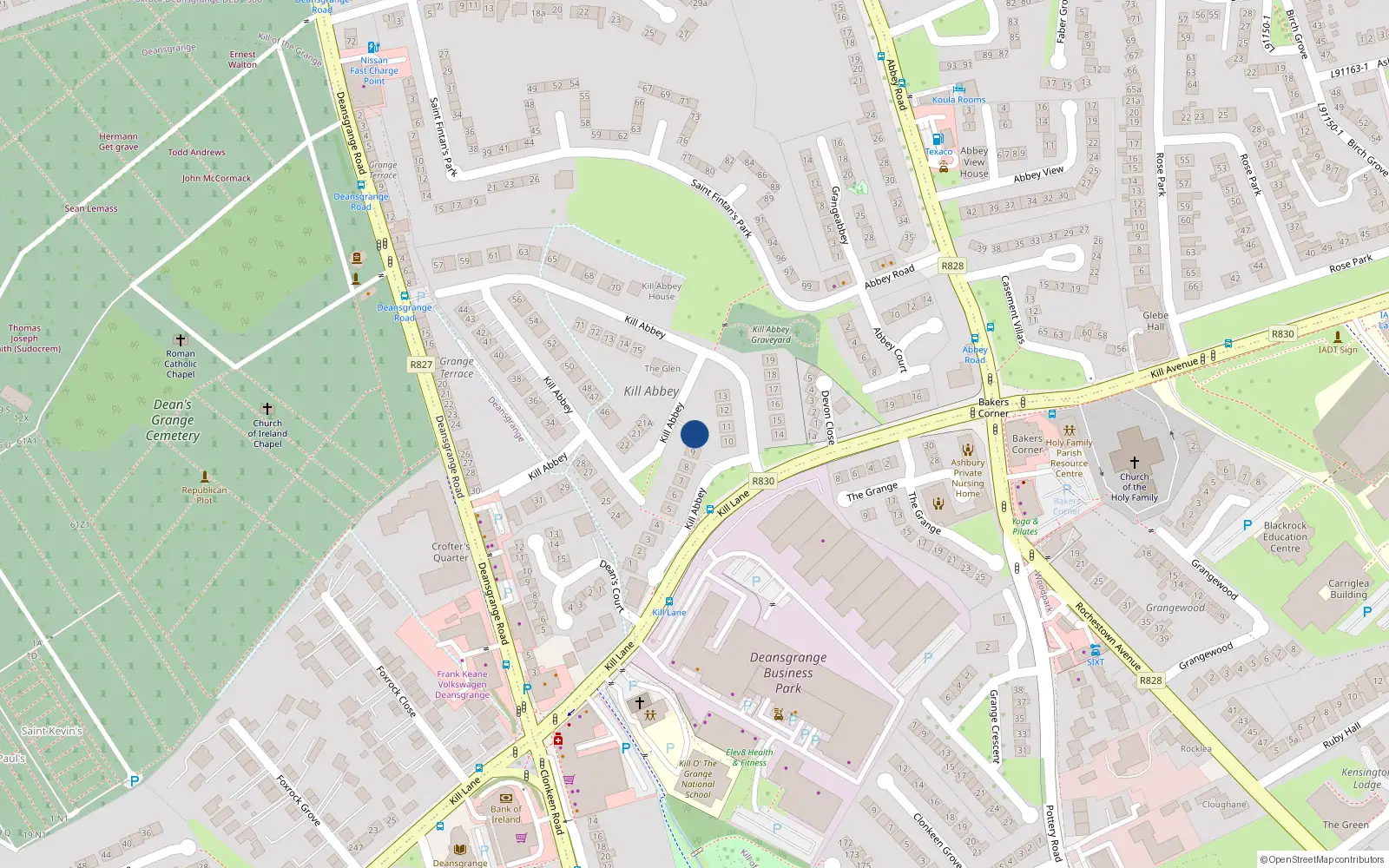 Overhead map showing the location of 20 Kill Abbey, Blackrock