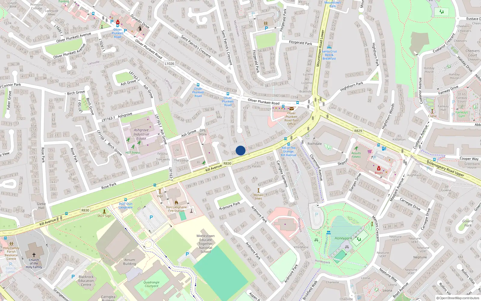 Overhead map showing the location of 20 Kill Avenue, Dun Laoghaire, Dublin