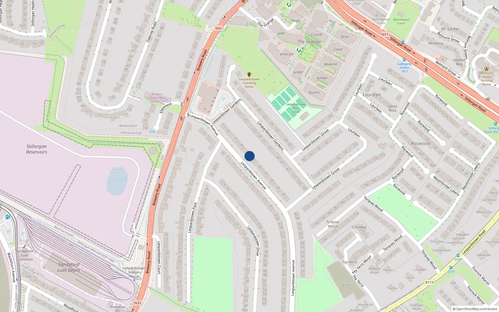 Overhead map showing the location of 20 Leopardstown Avenue, Blackrock, Dublin