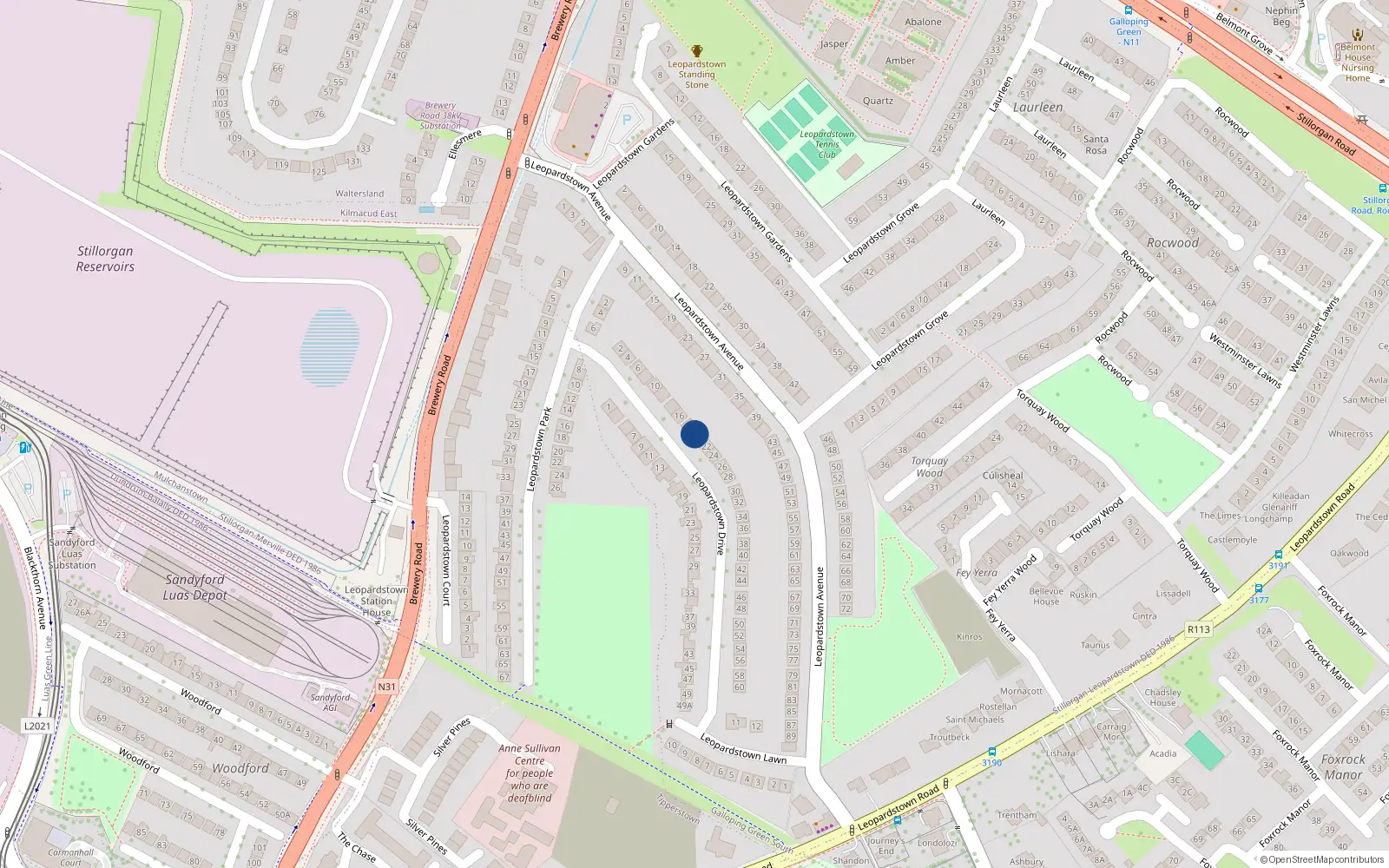 Overhead map showing the location of 20 Leopardstown Drive, Blackrock, County Dublin
