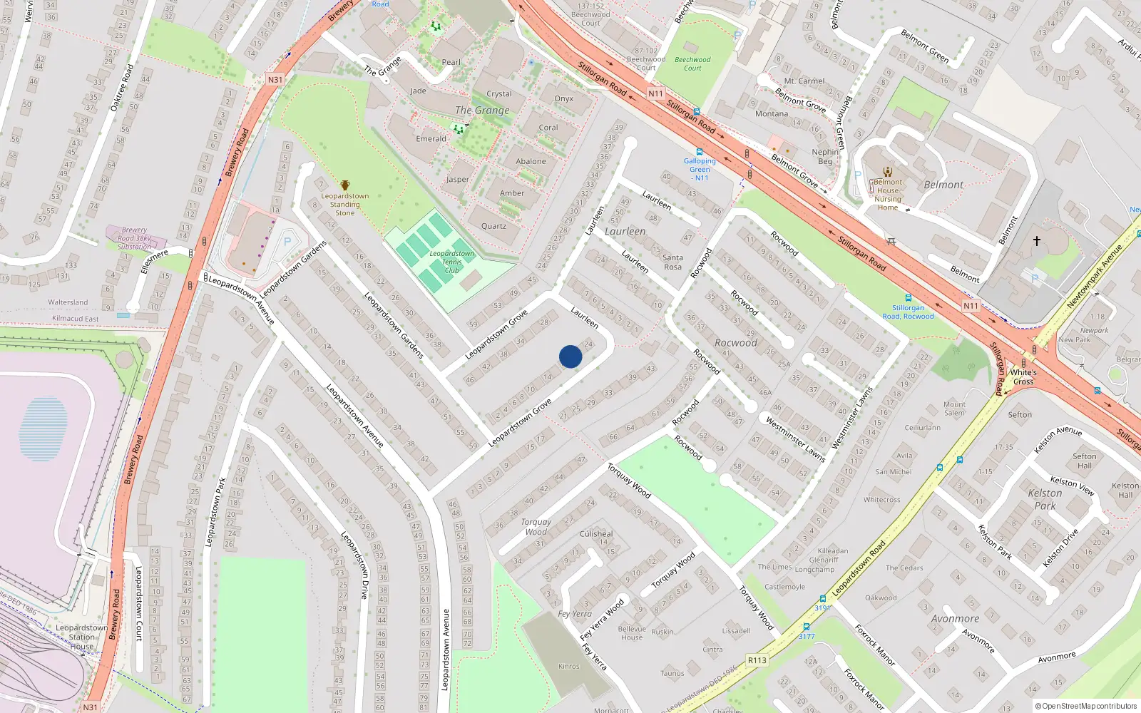 Overhead map showing the location of 20 Leopardstown Grove, Dublin