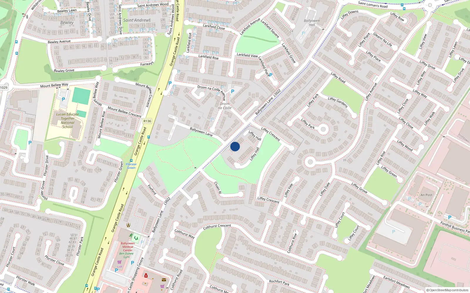 Overhead map showing the location of 20 Liffey Hall, Liffey Valley Park, Lucan