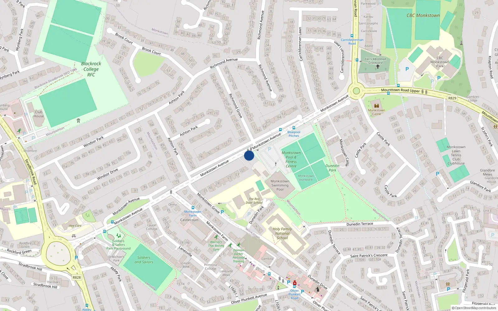 Overhead map showing the location of 20 Monkstown Avenue, Monkstown