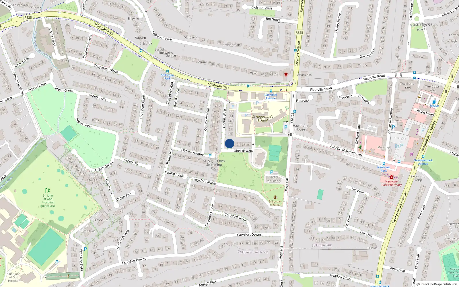 Overhead map showing the location of 20 Obelisk Walk, Blackrock