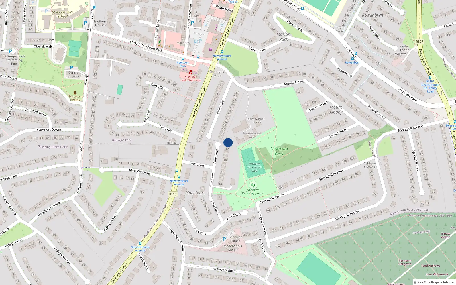 Overhead map showing the location of 20 Pine Lawn, Blackrock