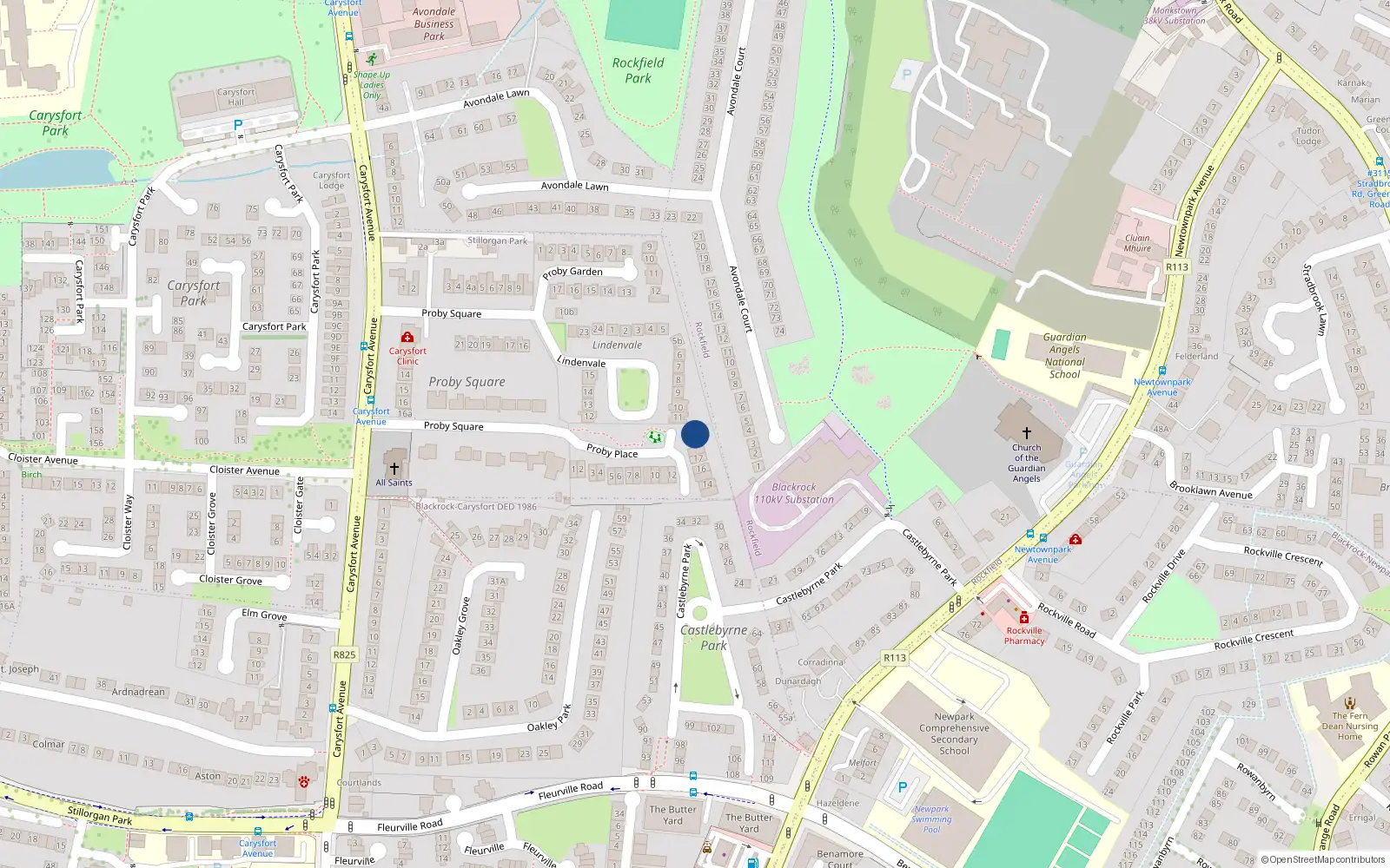 Overhead map showing the location of 20 Proby Place, Blackrock