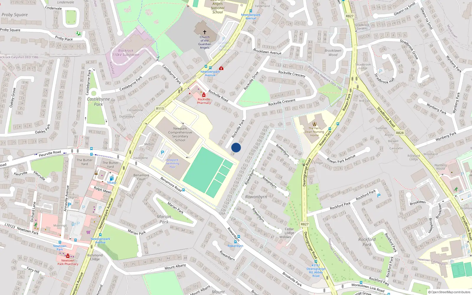 Overhead map showing the location of 20 Rockville Park, Blackrock