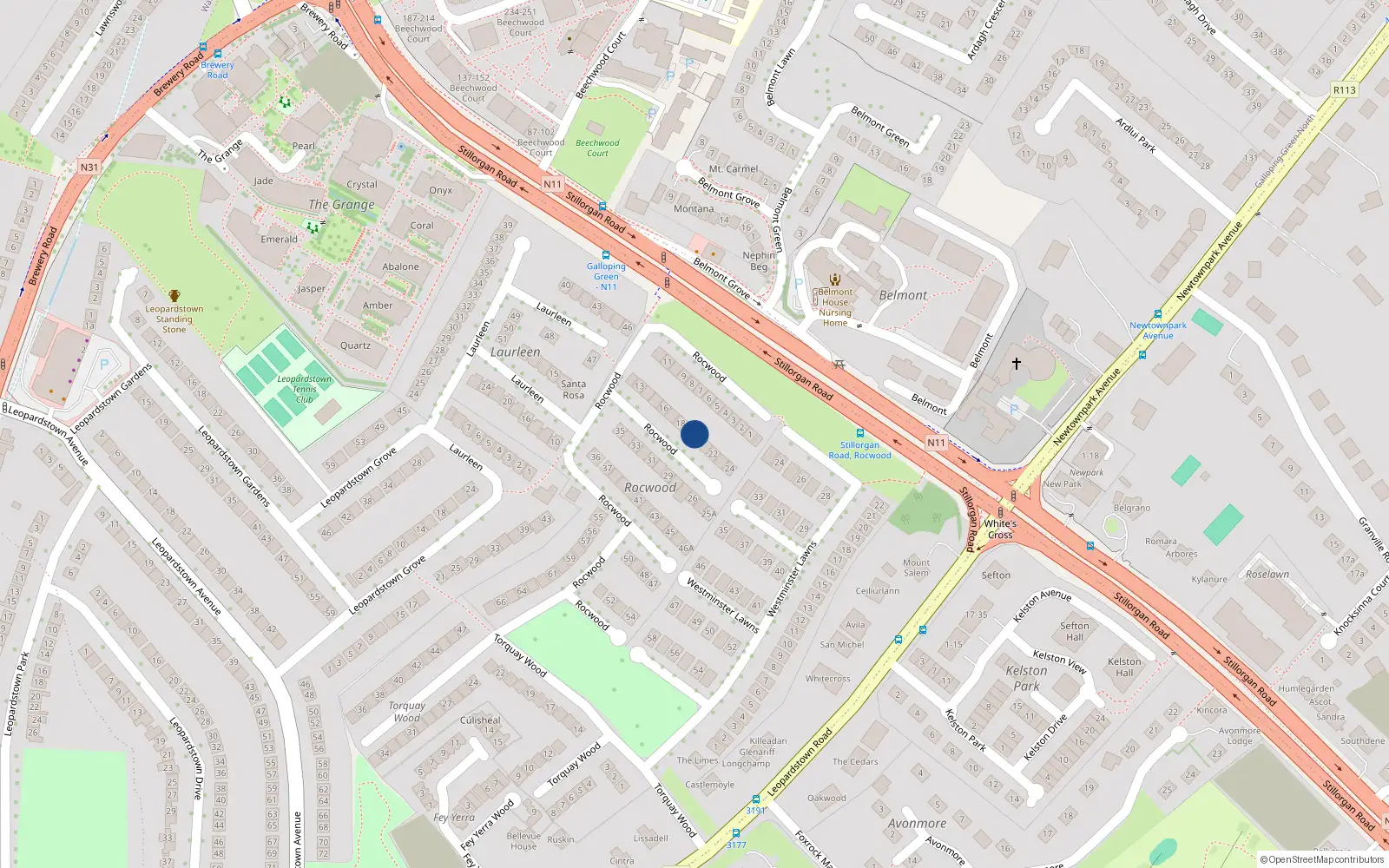 Overhead map showing the location of 20 Rocwood, Blackrock