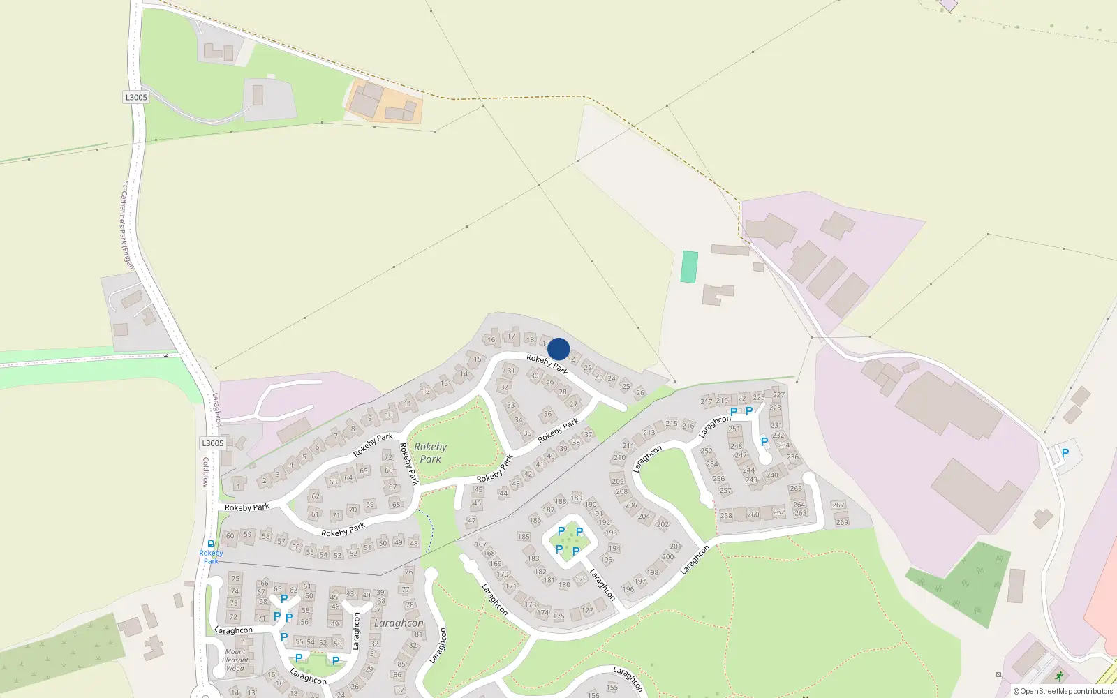 Overhead map showing the location of 20 Rokeby Park, Lucan