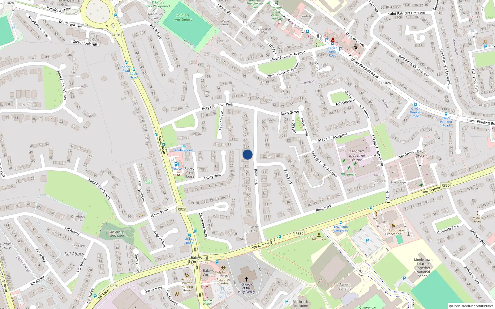 Overhead map showing the location of 20 Rose Park, Dublin