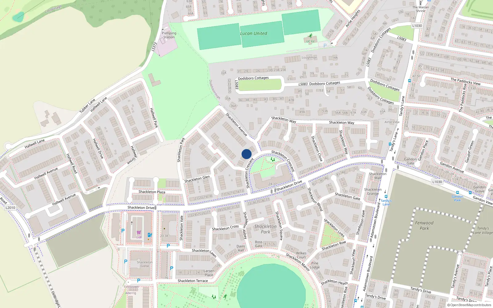 Overhead map showing the location of 20 Shackleton Crescent, Lucan