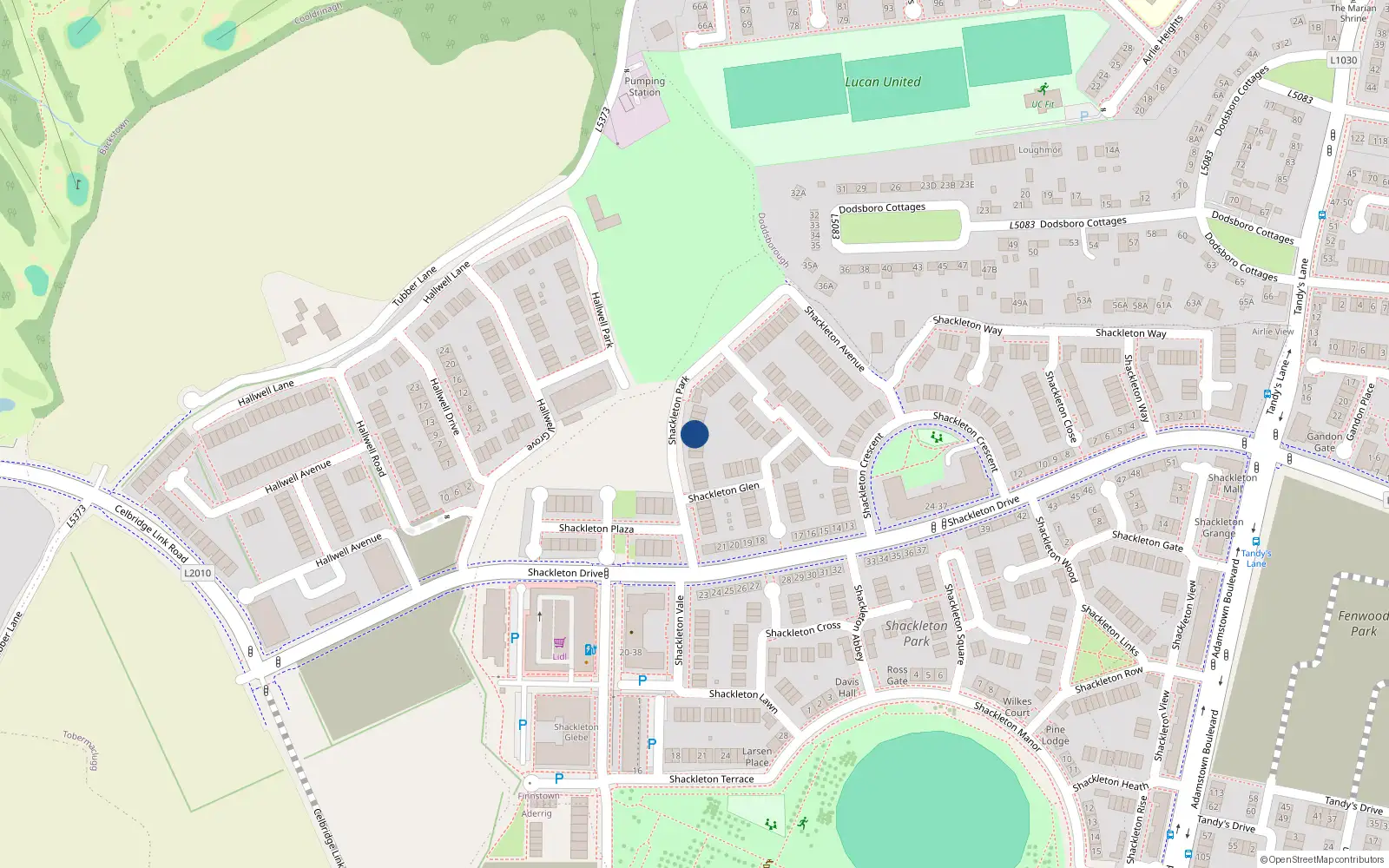 Overhead map showing the location of 20 Shackleton Park, Lucan