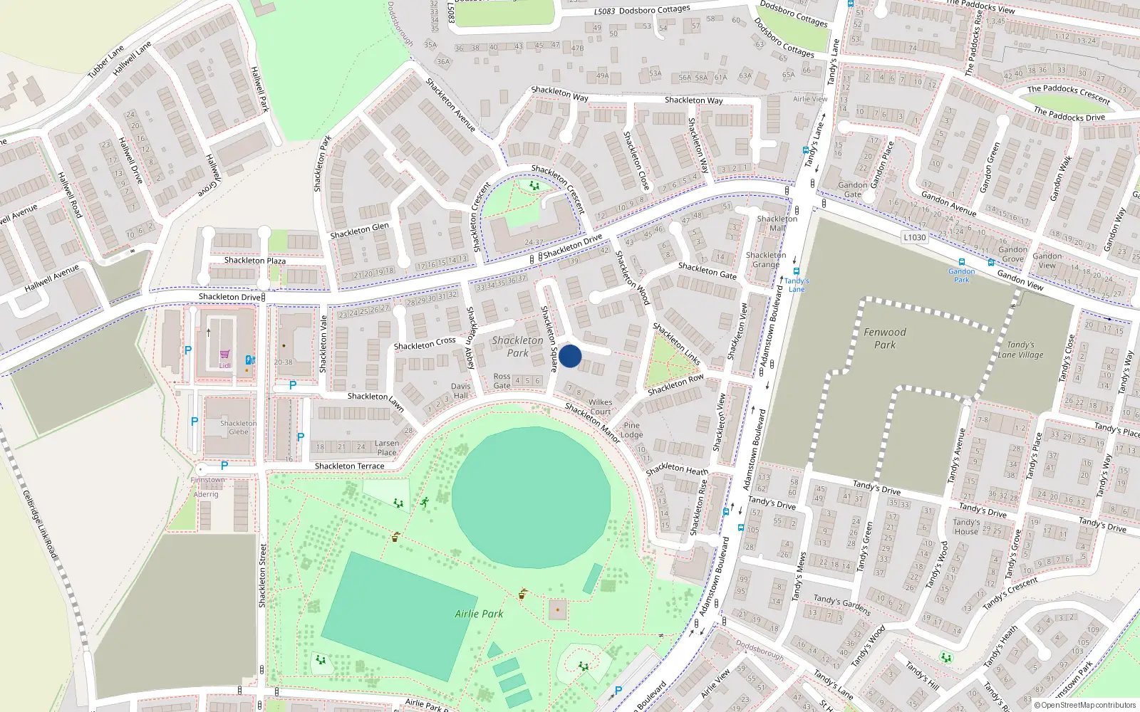 Overhead map showing the location of 20 Shackleton Square, Lucan
