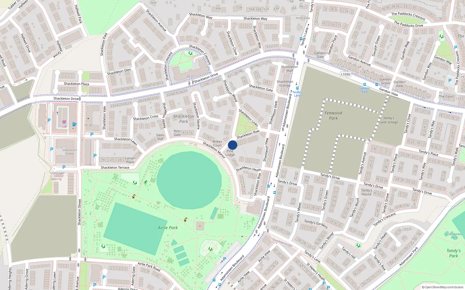 Overhead map showing the location of 20 Shackleton Wood, Shackleton Park, Lucan