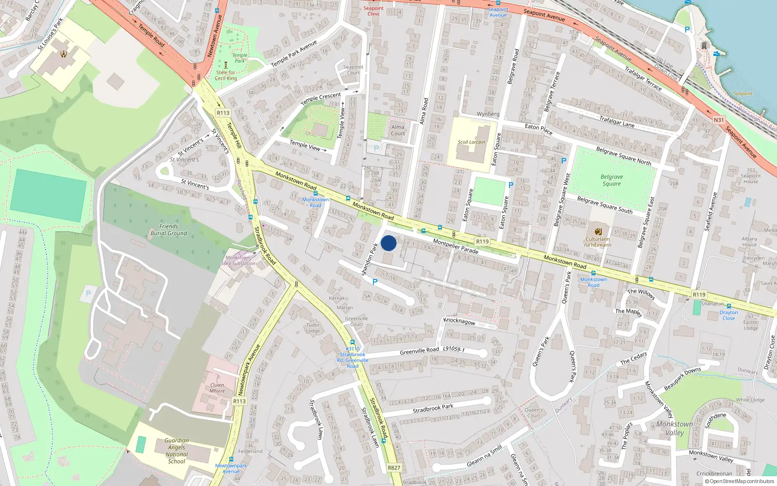 Overhead map showing the location of 20 Shandon Park, Monkstown