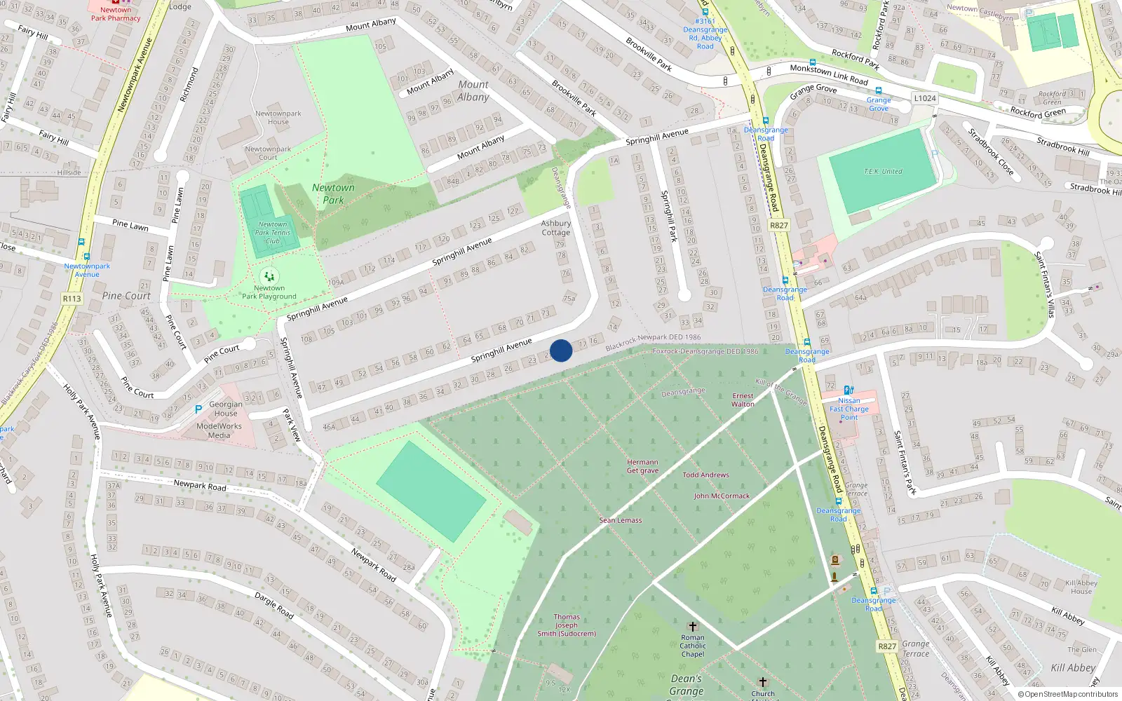 Overhead map showing the location of 20 Springhill Avenue, Blackrock