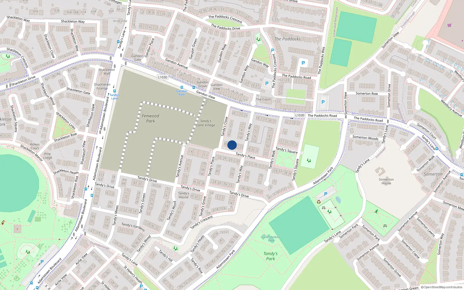 Overhead map showing the location of 20 Tandy's Place, Lucan