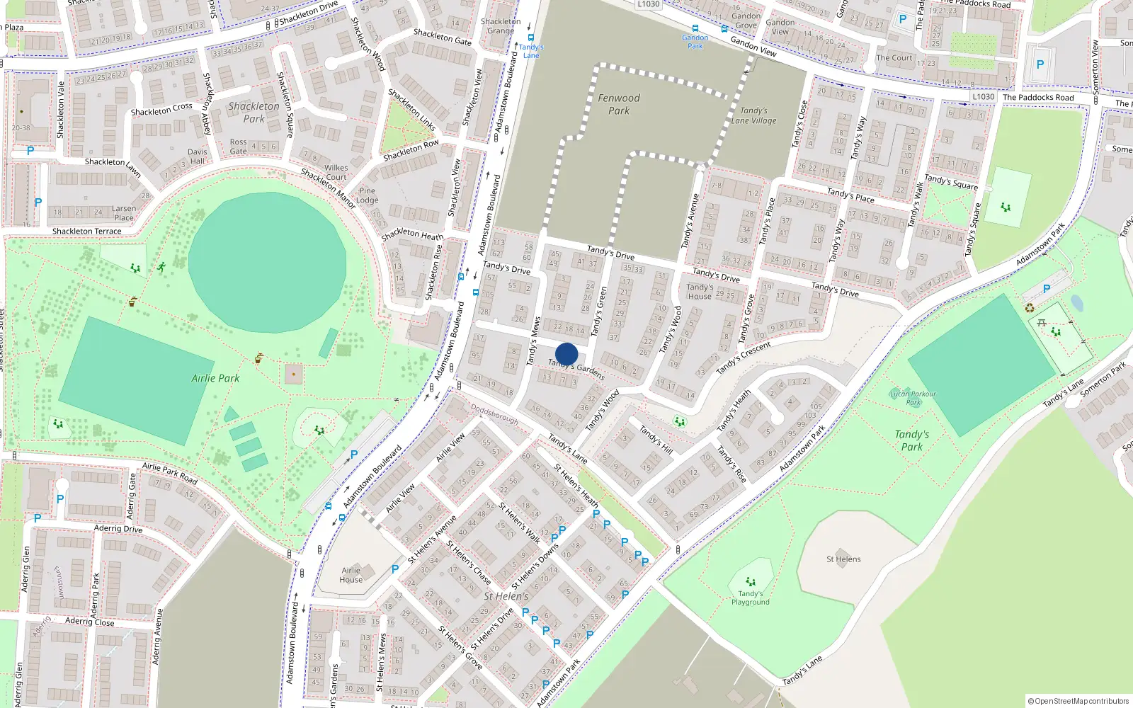 Overhead map showing the location of 13 Tandy's Heath, Adamstown
